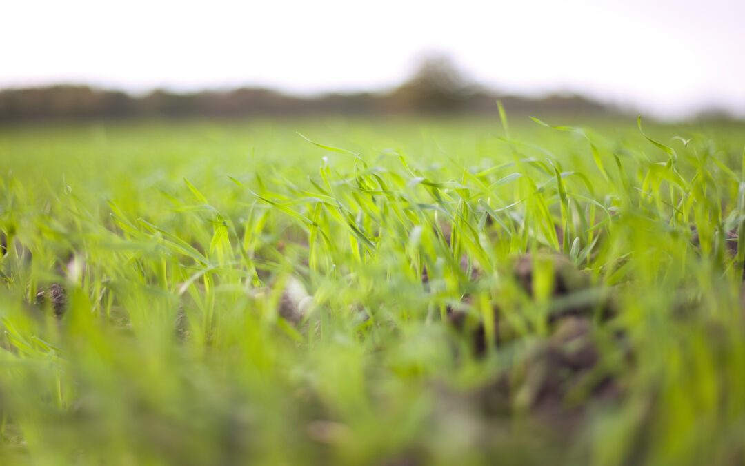 Farming in 2024